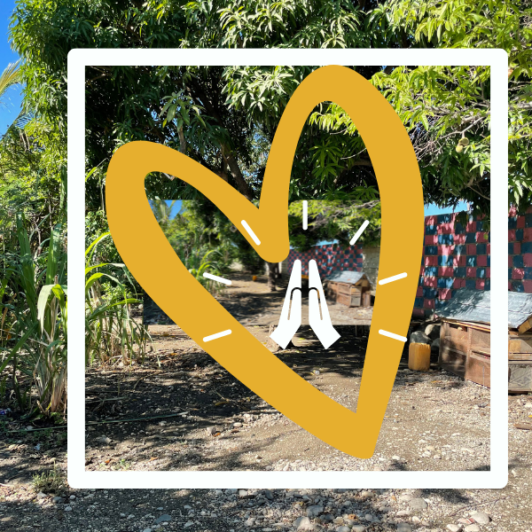 Pray for Haiti & OMFCA