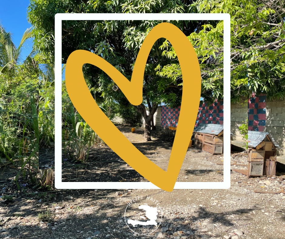 Shows image of Haiti with a heart